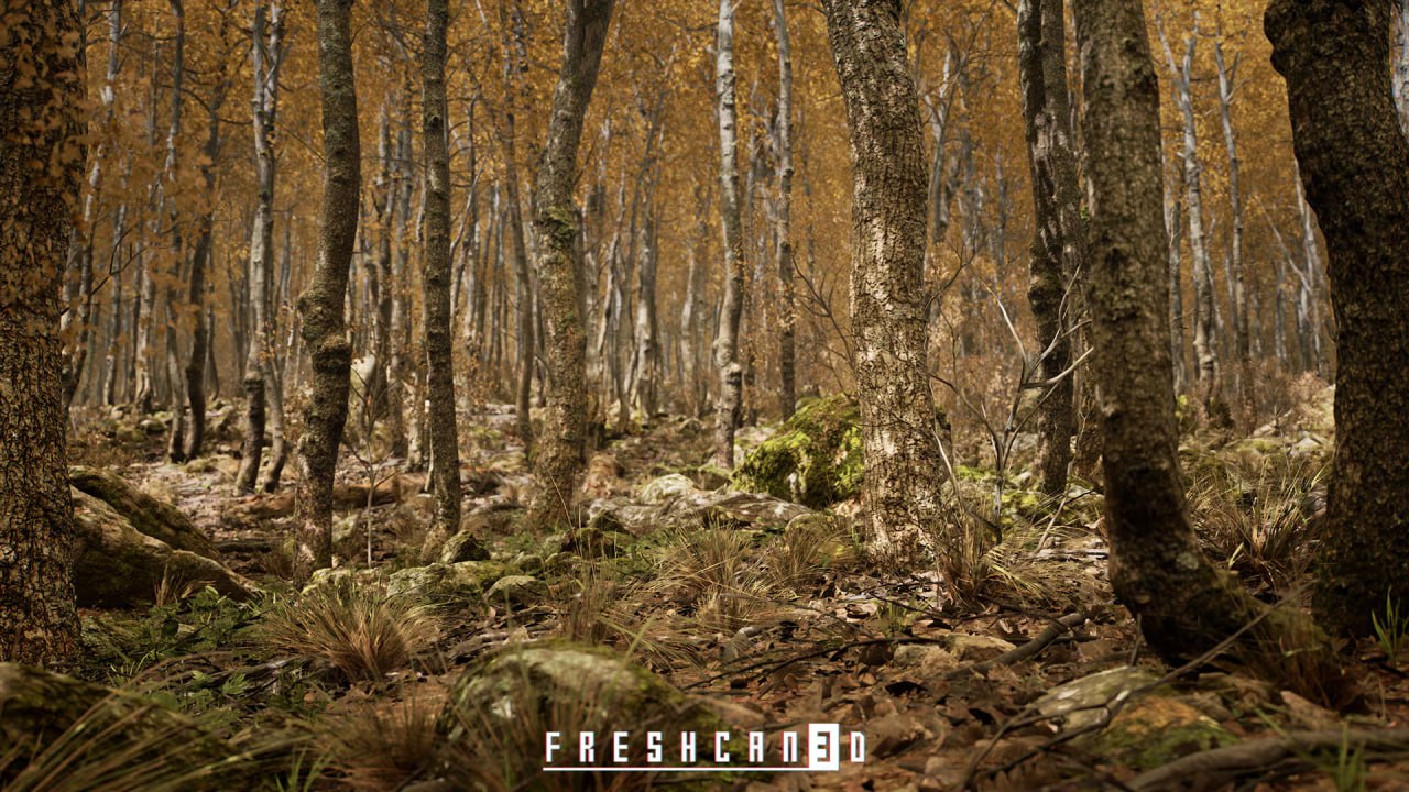 Procedural Oak Forest📱 - изображение 4